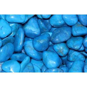   Tumbled Blue Howlite Stone Large 1 to 1.5 Wholesale Bulk Pound Lot