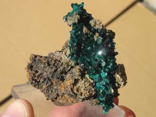   brilliantly colored dioptase exhibiting great luster from the sanda