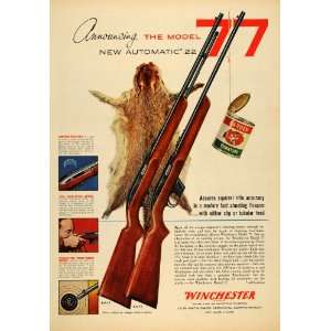 1955 Ad Olin Mathieson Winchester Model 77 Hunter Rifle   Original 