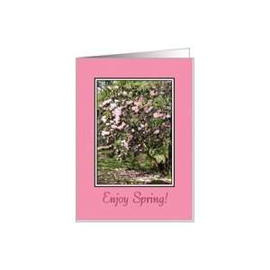 Seasons   Spring, Rhododendrhons Card