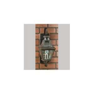  Quoizel CAR8728AC Carleton Aged Copper Outdoor Wall Sconce 