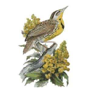  Oregon State Bird and Flower Counted Cross Stitch Pattern 
