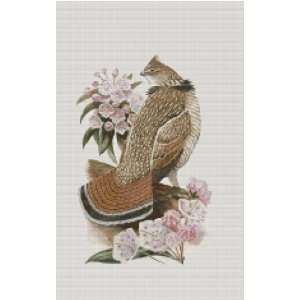   State Bird and Flower Counted Cross Stitch Pattern Arts, Crafts