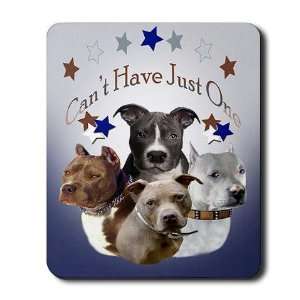  Pitbull Cant Have Just One Pets Mousepad by  