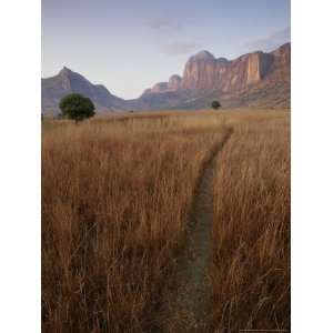  A Path Recedes in Tall Grasses Towards Limestone Rock 