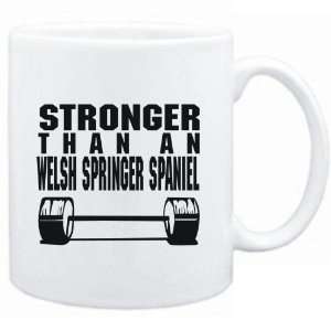    STRONGER THAN A Welsh Springer Spaniel  Dogs