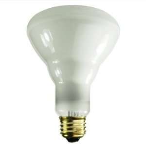 Halco 104070   Br30fl65 Br30 Reflector Flood Spot Light Bulb(6 Pack)
