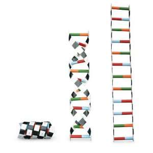 Nasco   DNA Demonstration Model  Industrial & Scientific