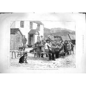   Scottish Volunteers War Sheep Farm Spital Glenshee