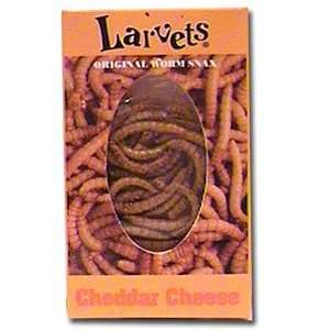 Larvets Original Worm Snax  Cheddar Cheese 6 packs  