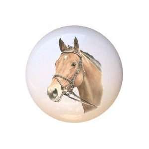 Chester Head Horse Horses Equestrian Drawer Pull Knob 