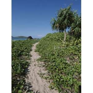  A Sandy Trail Leads Down to the Beach on a Tropical Island 