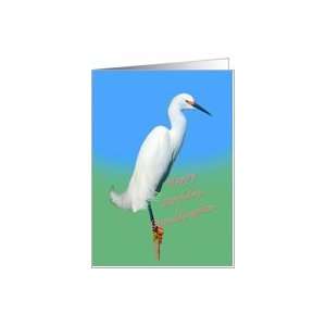    Granddaughter, Birthday, Snowy Egret Bird Card Toys & Games