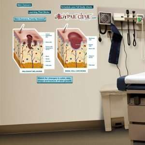 Skin Cancer Labeled Sticky Anatomy Wall Chart