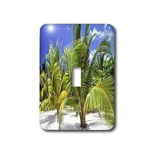  Florene Trees   Baby Coconut Palms On Beach   Light Switch 