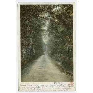  Reprint Swasey Lane, Bethlehem, N. H 1902 1903