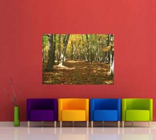 FALL NATURE TRAIL FOREST TREES GIANT POSTER X955  