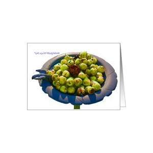 Get Well, Feel Better, Little Green Apples in Bird Bath Card