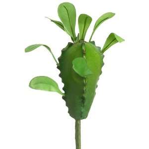 Faux 9 Madagascar Pick Green (Pack of 24)  Grocery 