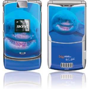  Great White Shark Smiles skin for Motorola RAZR V3 