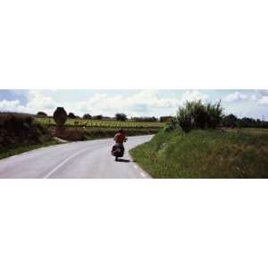   the Background, Penedes, Catalonia, Spain by Panoramic Images , 12x36