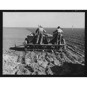   planter operation,Kern County,California,CA,1939