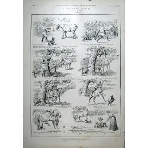  A Dropped Catch But Not Cricket Old Print 1904 Horses 