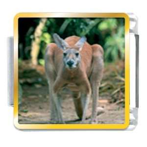  Pugster Animal Photo Australia Kangaroo Italian Charms 