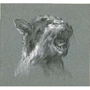  Reproduction   Jean Baptiste Oudry   32 x 30 inches   Head of a cat 