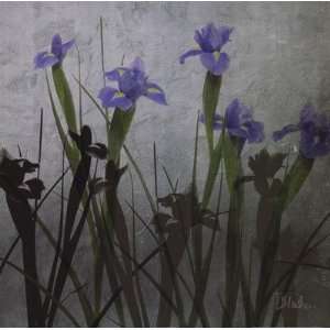   Irises I Finest LAMINATED Print Patricia Pinto 18x18