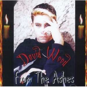  CD From the Ashes by David Wood 
