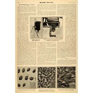  1907 Article Scientific Seed Photomicropraphs Apparatus 