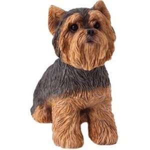  Yorkshire Terrier   Small Size 
