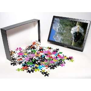   Puzzle of Mirror Lake and Half Dome from Robert Harding Toys & Games