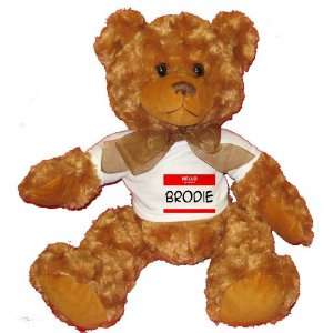  HELLO my name is BRODIE Plush Teddy Bear with WHITE T 
