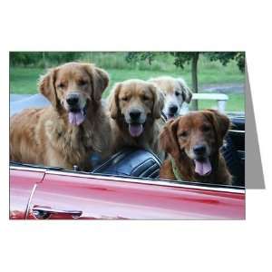 Summer Drive Golden Retriever Greeting Cards Pack Pets Greeting Cards 