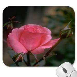   75 Designer Mouse Pads   Flowers Roses (MPRO 026)