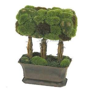  Moss Hedge on Pot, Artificial Silk Plant, Floral, 2pcs 