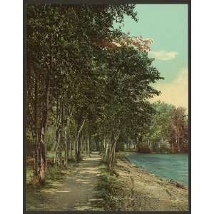  Shore path at Huletts,Lake George,N.Y.