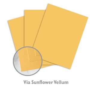  Via Vellum Sunflower Paper   500/Carton