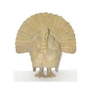 20 Inch Turkey  Grocery & Gourmet Food