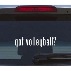  volleyball? Vinyl Sticker Decal Got Milk Window Fun 