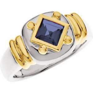  Sterling Silver and 14K Yellow Gold Iolite Ring Jewelry