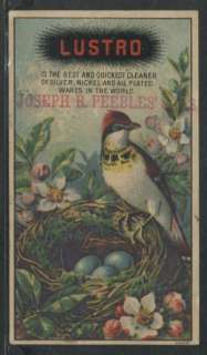 LUSTRO SILVER Victorian Trade Card c1890 Nesting Bird  