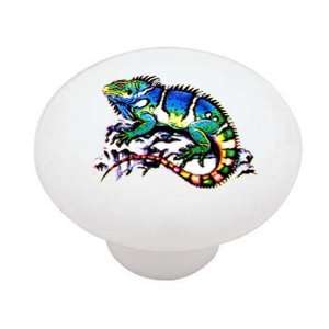 Marine Iguana Decorative High Gloss Ceramic Drawer Knob