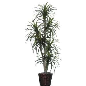   Potted Artificial Tropical Marginata Tree in Brown Pot