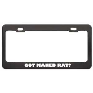 Got Maned Rat? Animals Pets Black Metal License Plate Frame Holder 