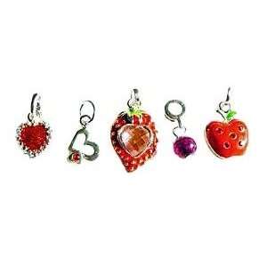 Hidden Gems Silver Plated (M520) Dangle Charm Beads Set of 5, will fit 