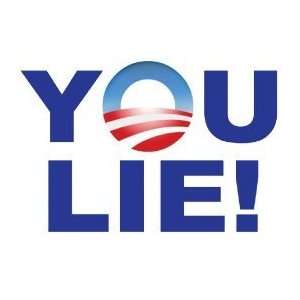  You Lie Joe Wilson anti obama bumper sticker magnet 