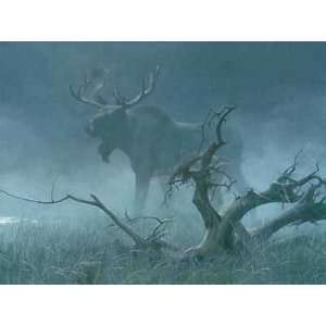 Robert Bateman   Moose In Moonlight Canvas Giclee